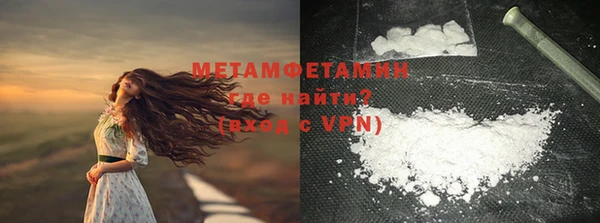 ГАЛЛЮЦИНОГЕННЫЕ ГРИБЫ Вяземский