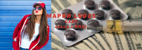 ГАЛЛЮЦИНОГЕННЫЕ ГРИБЫ Вяземский