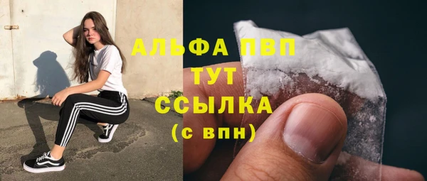 ГАЛЛЮЦИНОГЕННЫЕ ГРИБЫ Вяземский