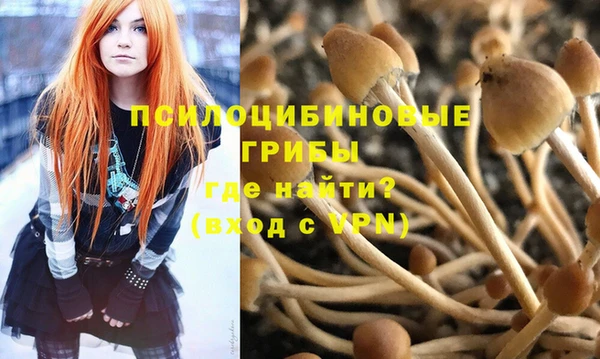 дмт Горняк