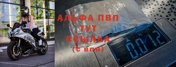 ГАЛЛЮЦИНОГЕННЫЕ ГРИБЫ Вяземский