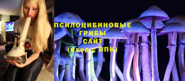 MDMA Горнозаводск
