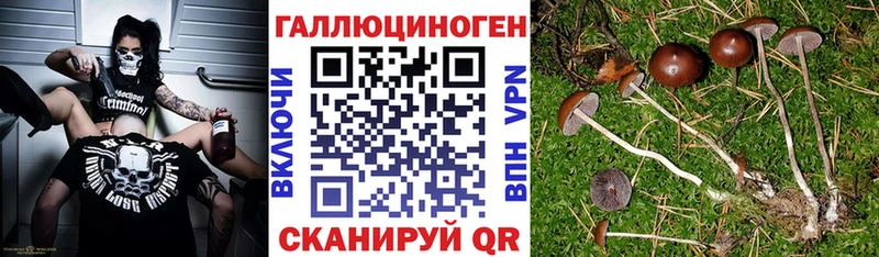 Купить где  Озёры  Псилоцибиновые грибы Magic Shrooms 